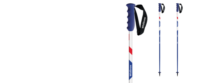 Ski Poles